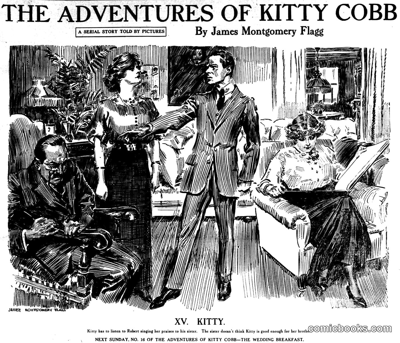 The Adventures of Kitty Cobb