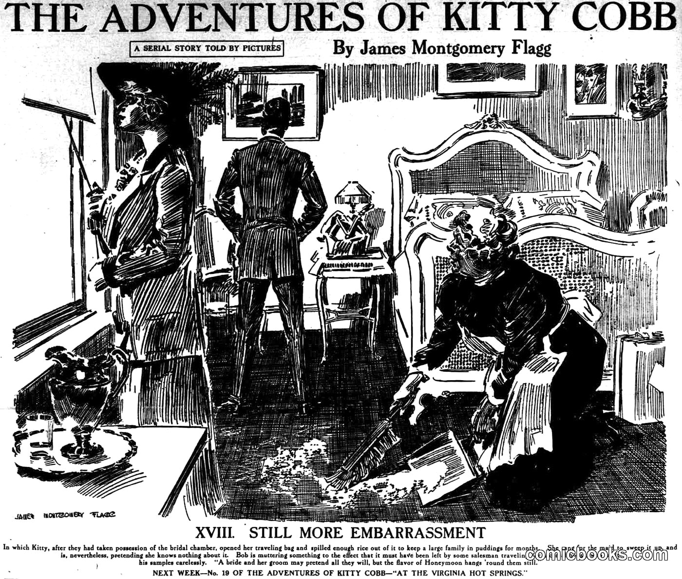 The Adventures of Kitty Cobb: Still More Embarrassment
