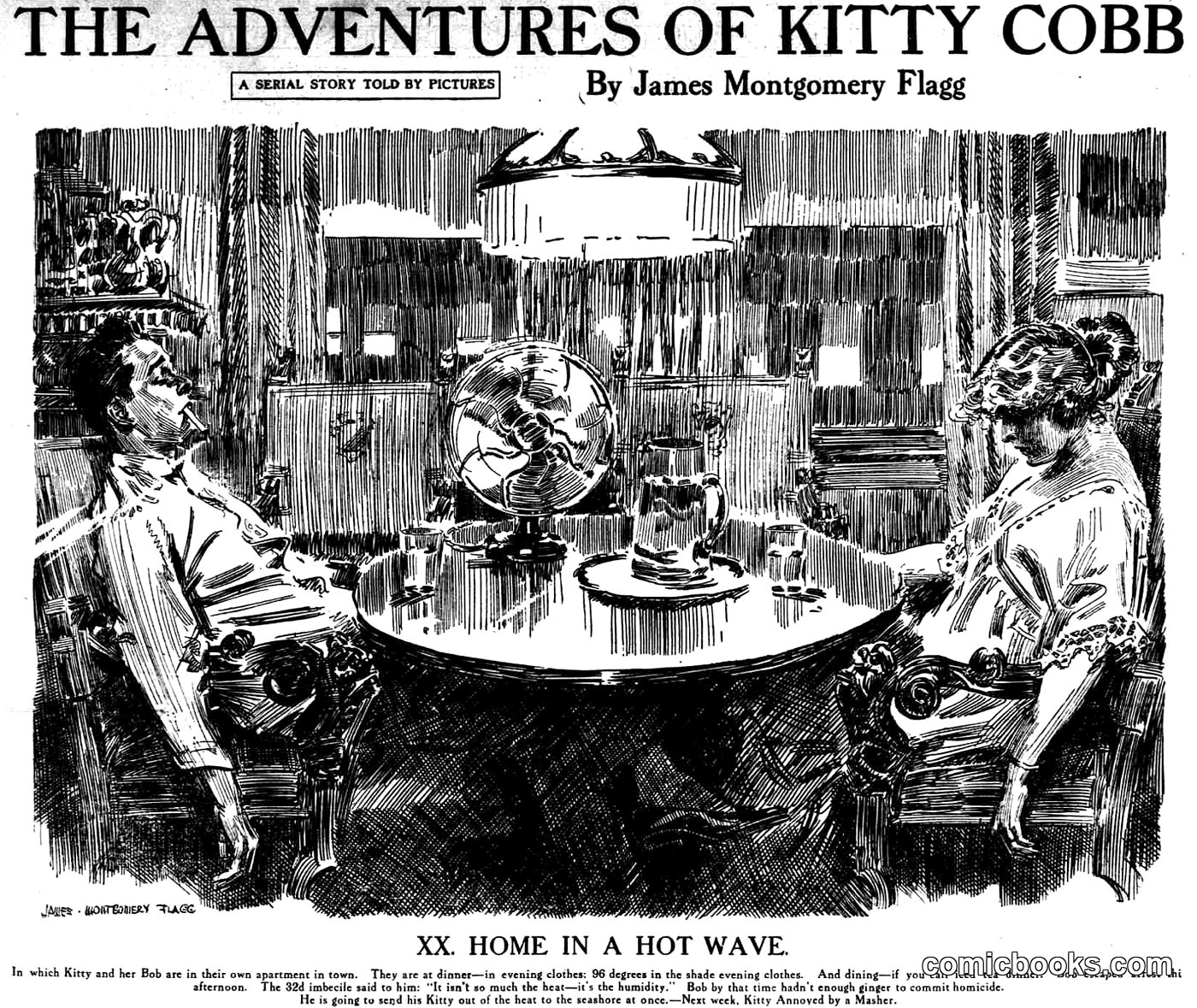 The Adventures of Kitty Cobb