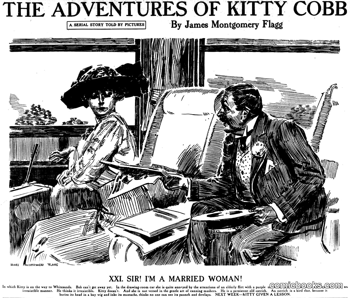 The Adventures of Kitty Cobb