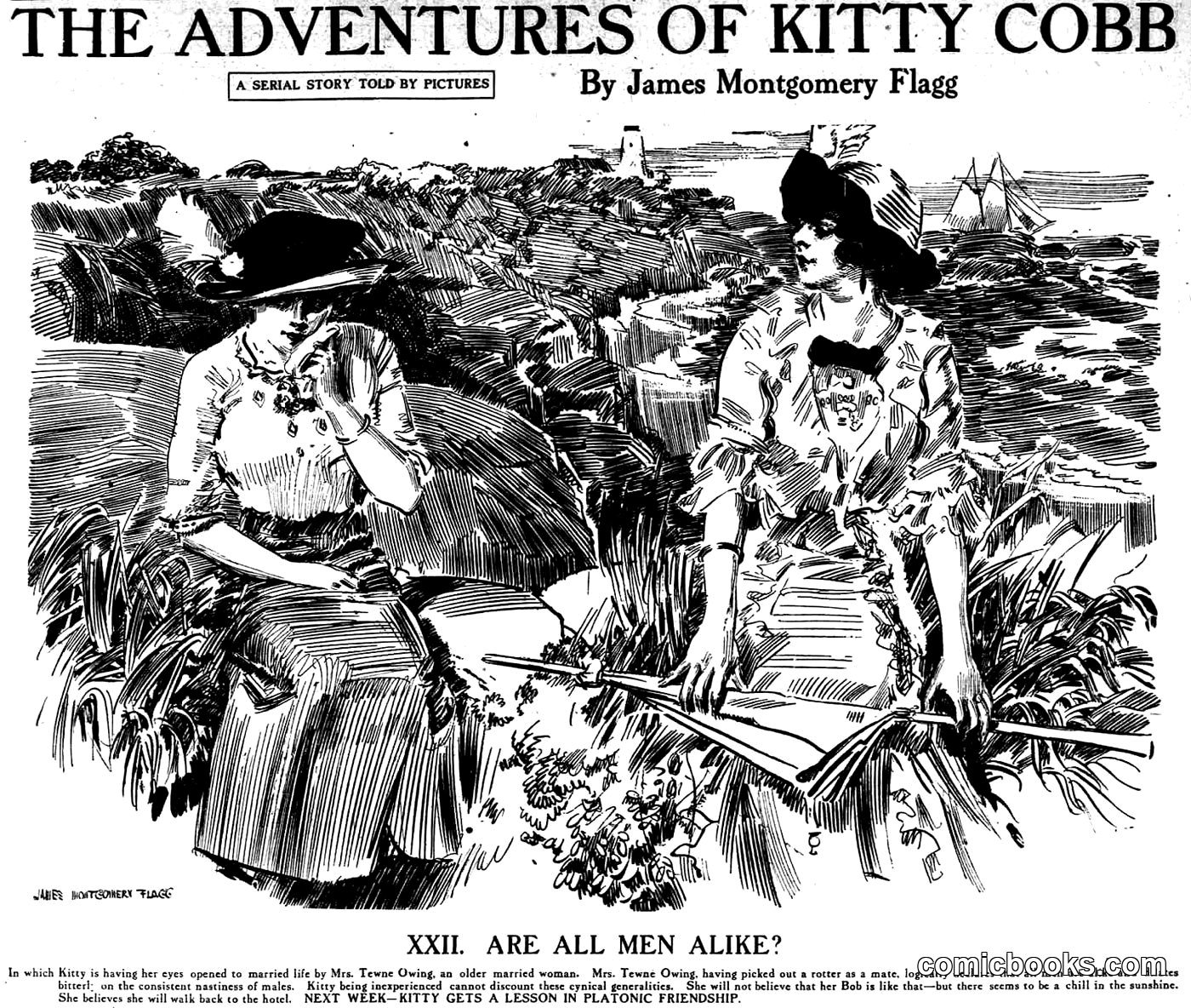The Adventures of Kitty Cobb