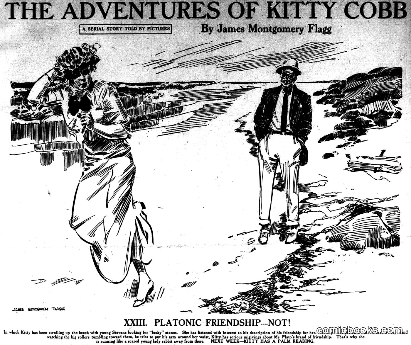 The Adventures of Kitty Cobb