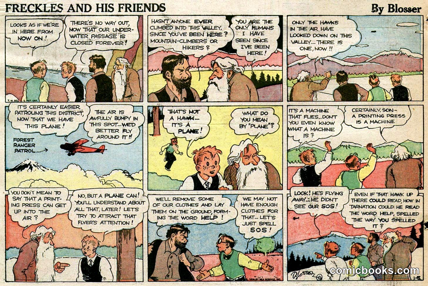 Freckles and His Friends