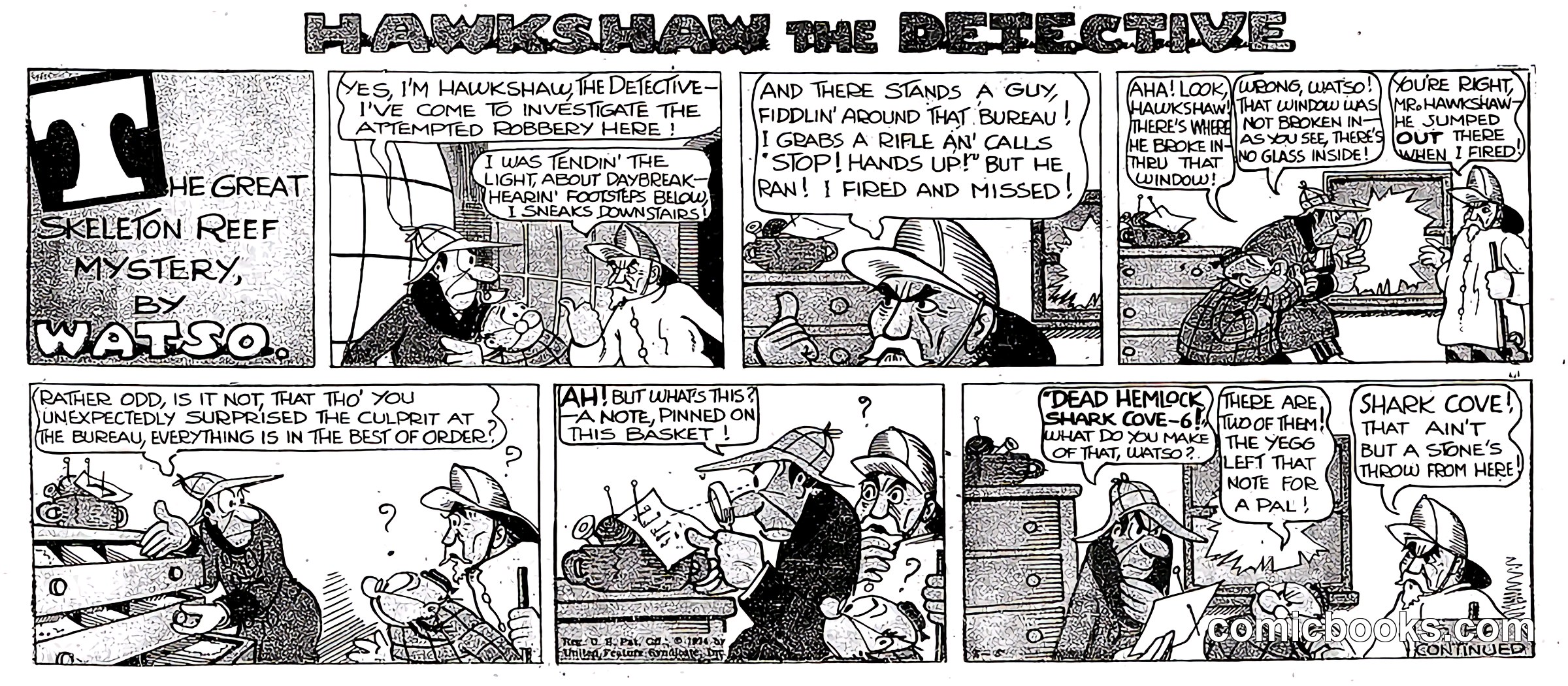 Hawkshaw the Detective