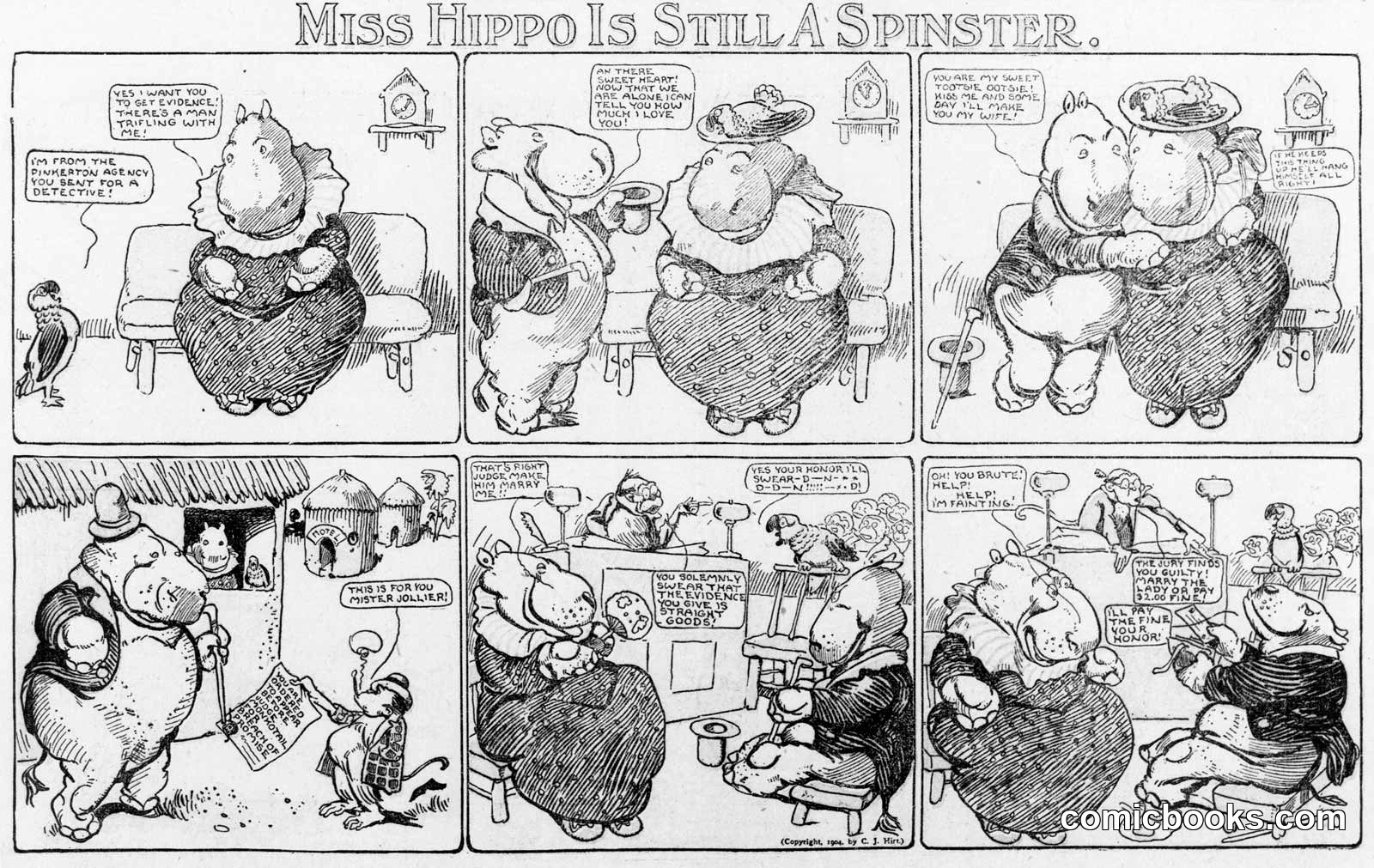 Miss Hippo Is Still A Spinster