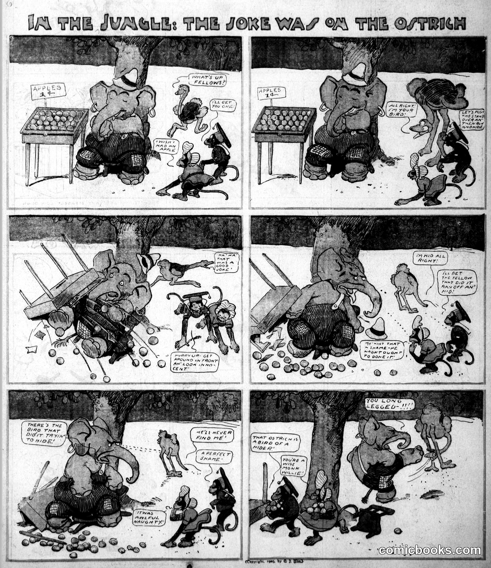 In the Jungle: The Joke Was on the Ostrich