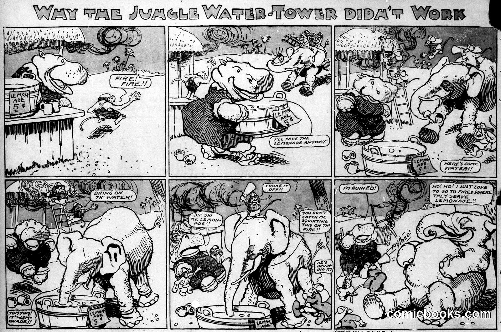 Why the Jungle Water-Tower Didn't Work