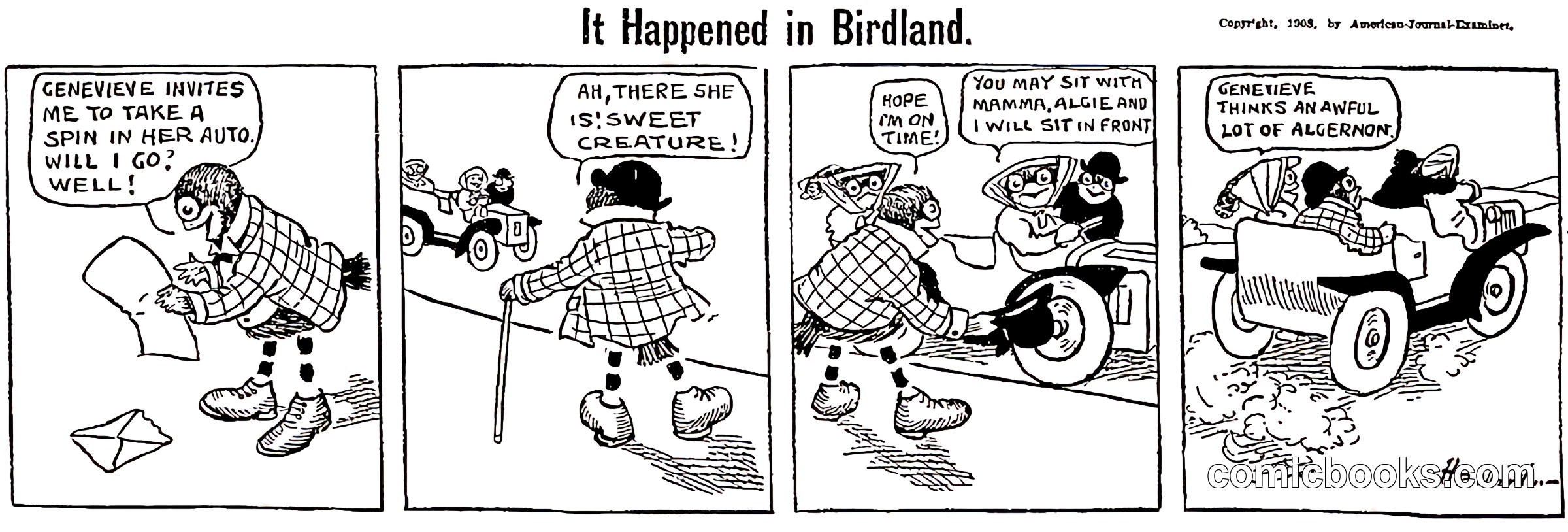 It Happened in Birdland