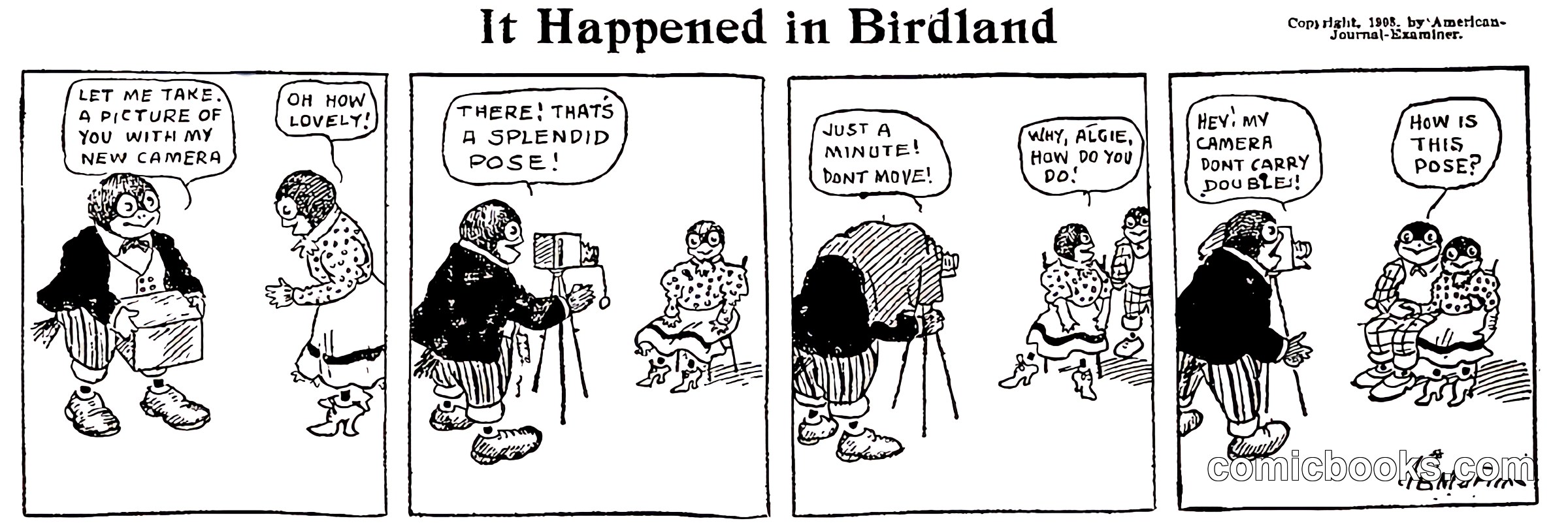 It Happened in Birdland