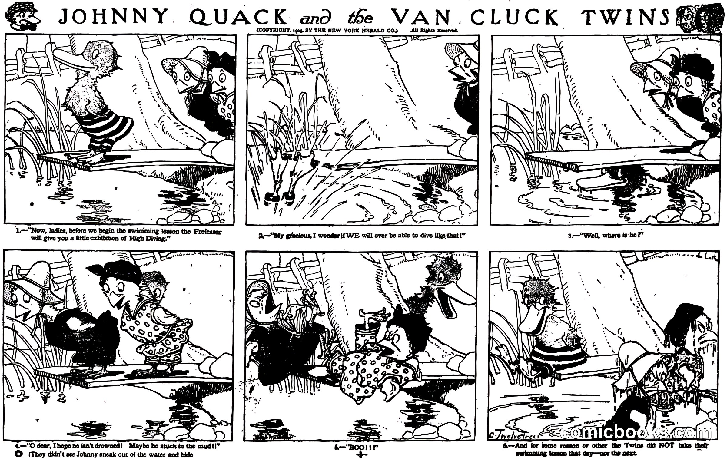 Johnny Quack and the Van Cluck Twins