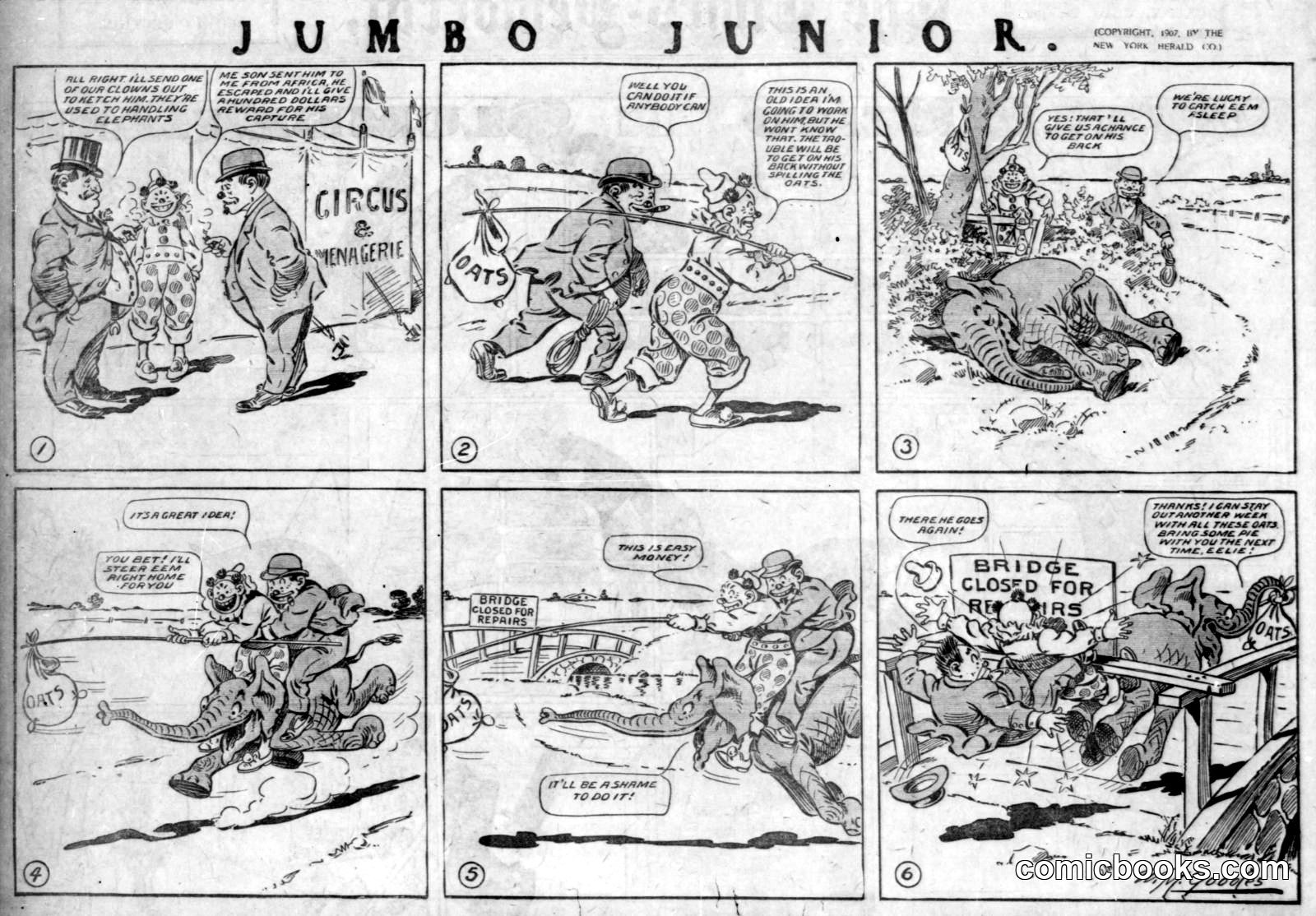Jumbo Junior