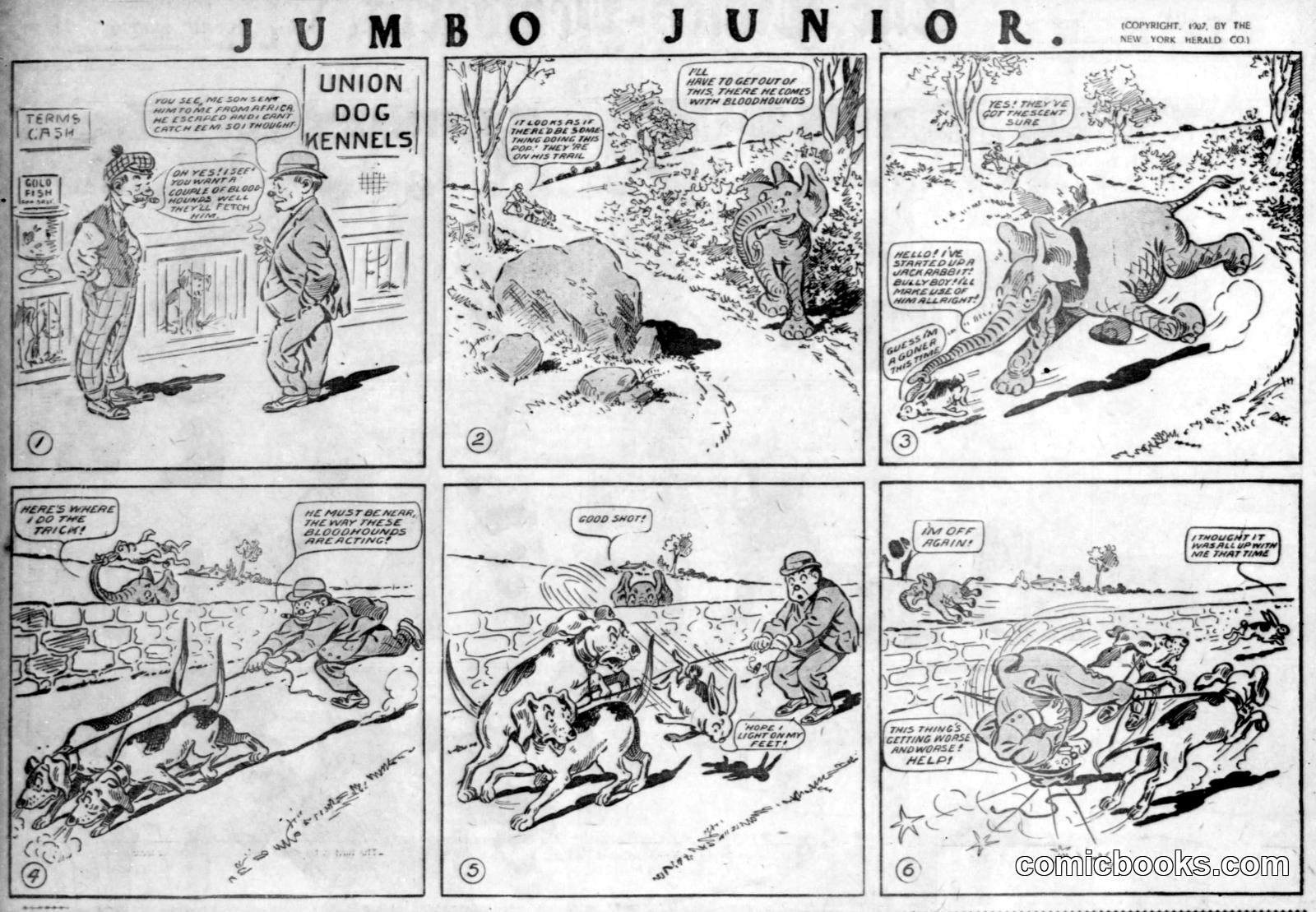 Jumbo Junior