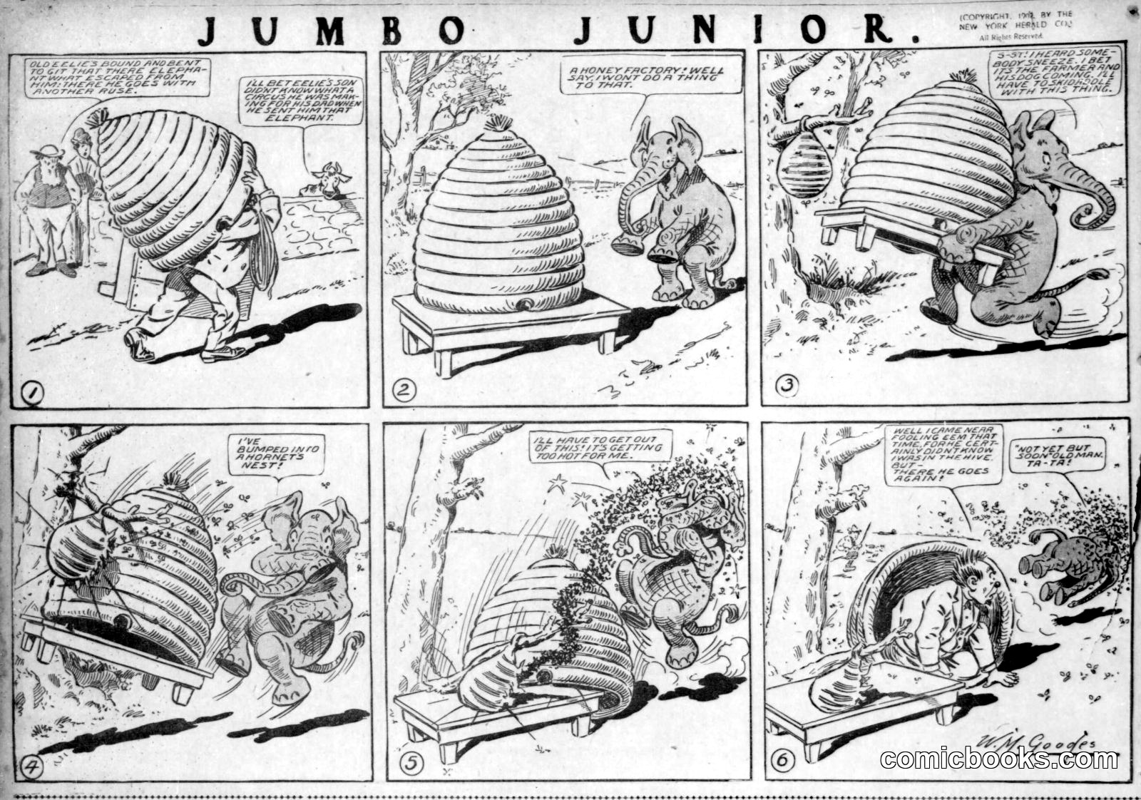 Jumbo Junior