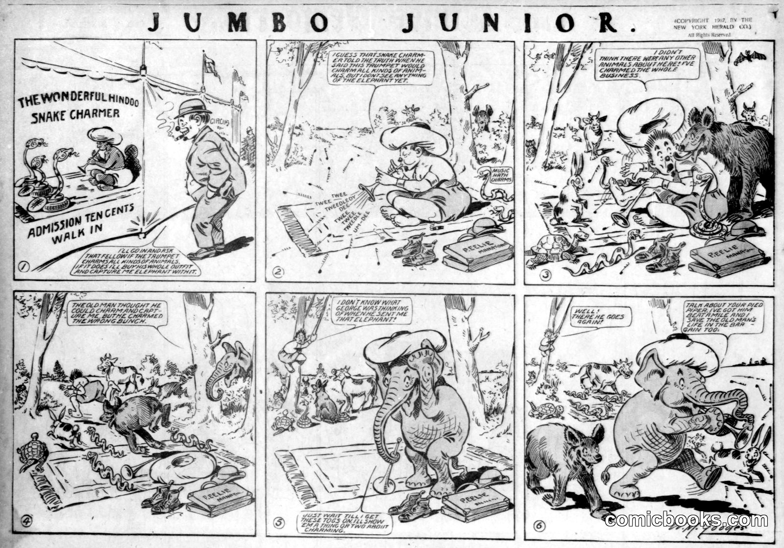 Jumbo Junior