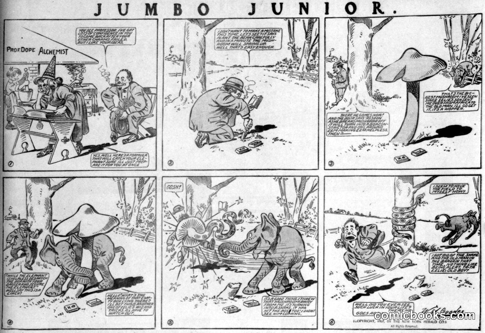 Jumbo Junior