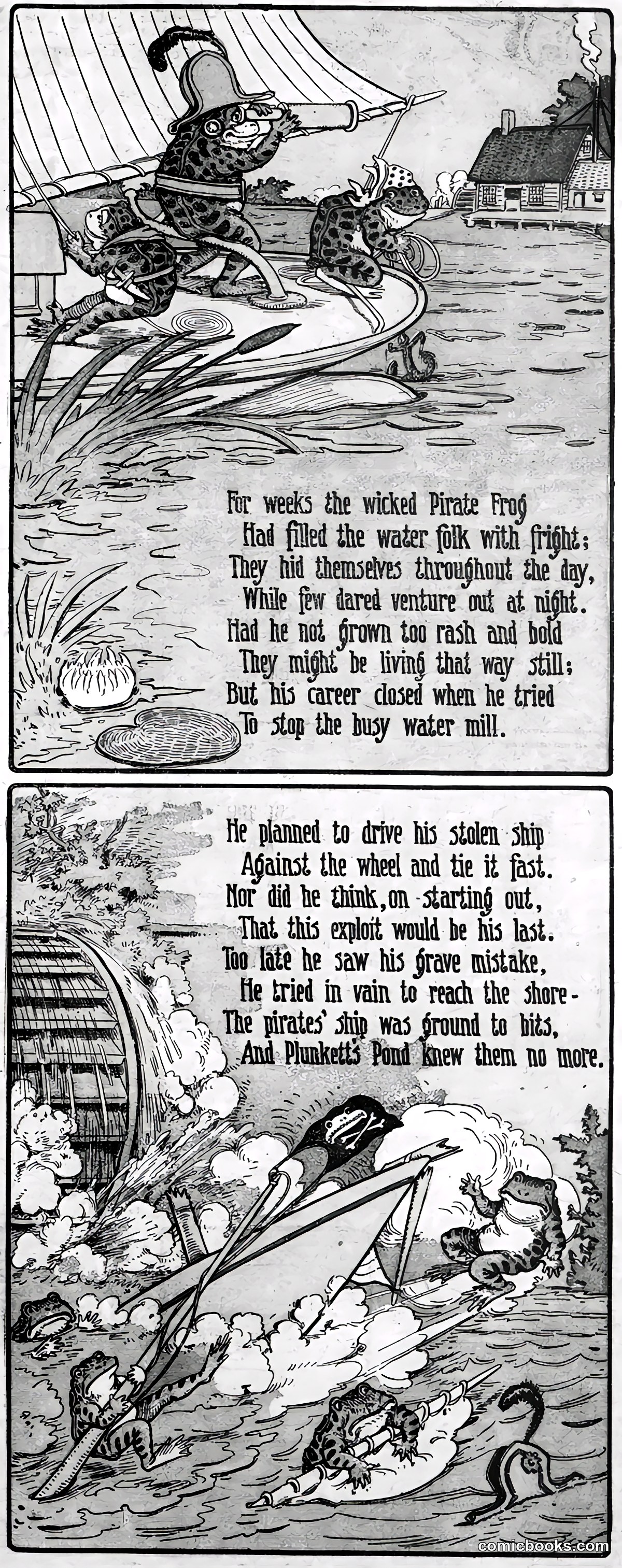 The Wicked Pirate Frog