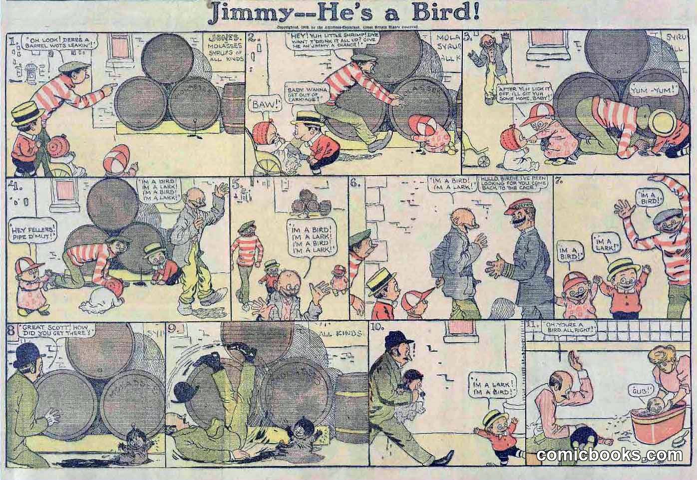 Jimmy—He's a Bird!