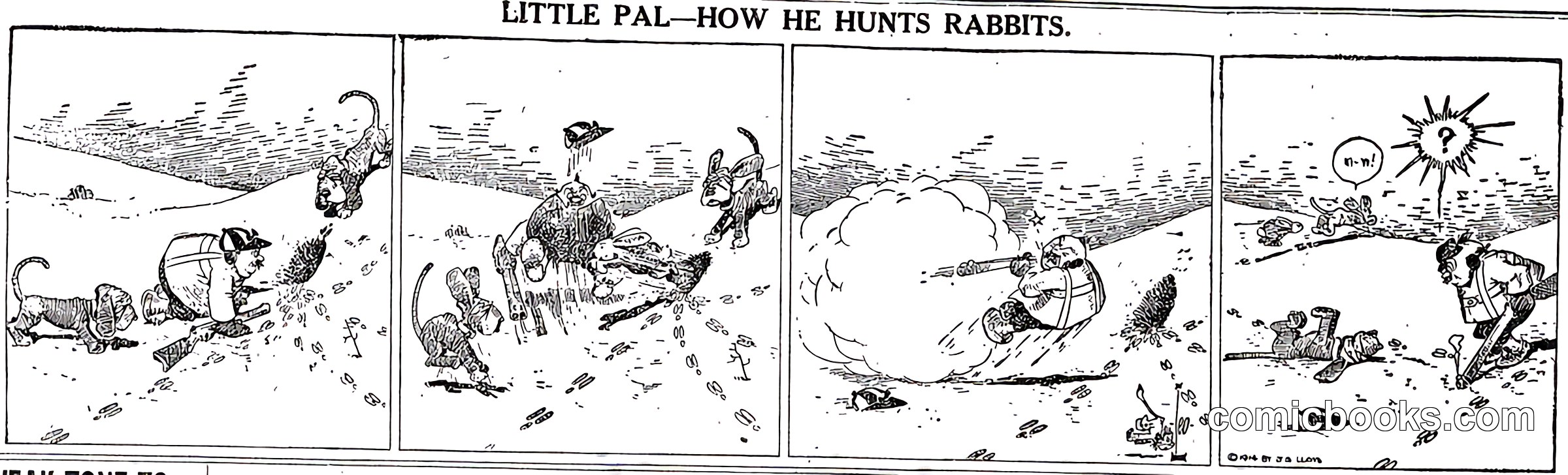 Little Pal—How He Hunts Rabbits