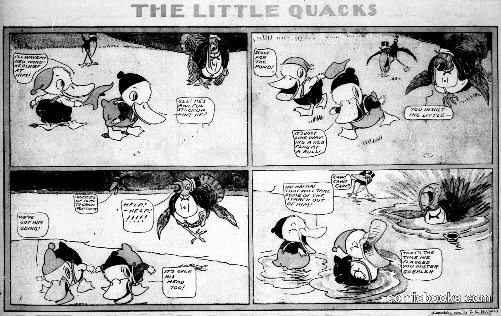 The Little Quacks