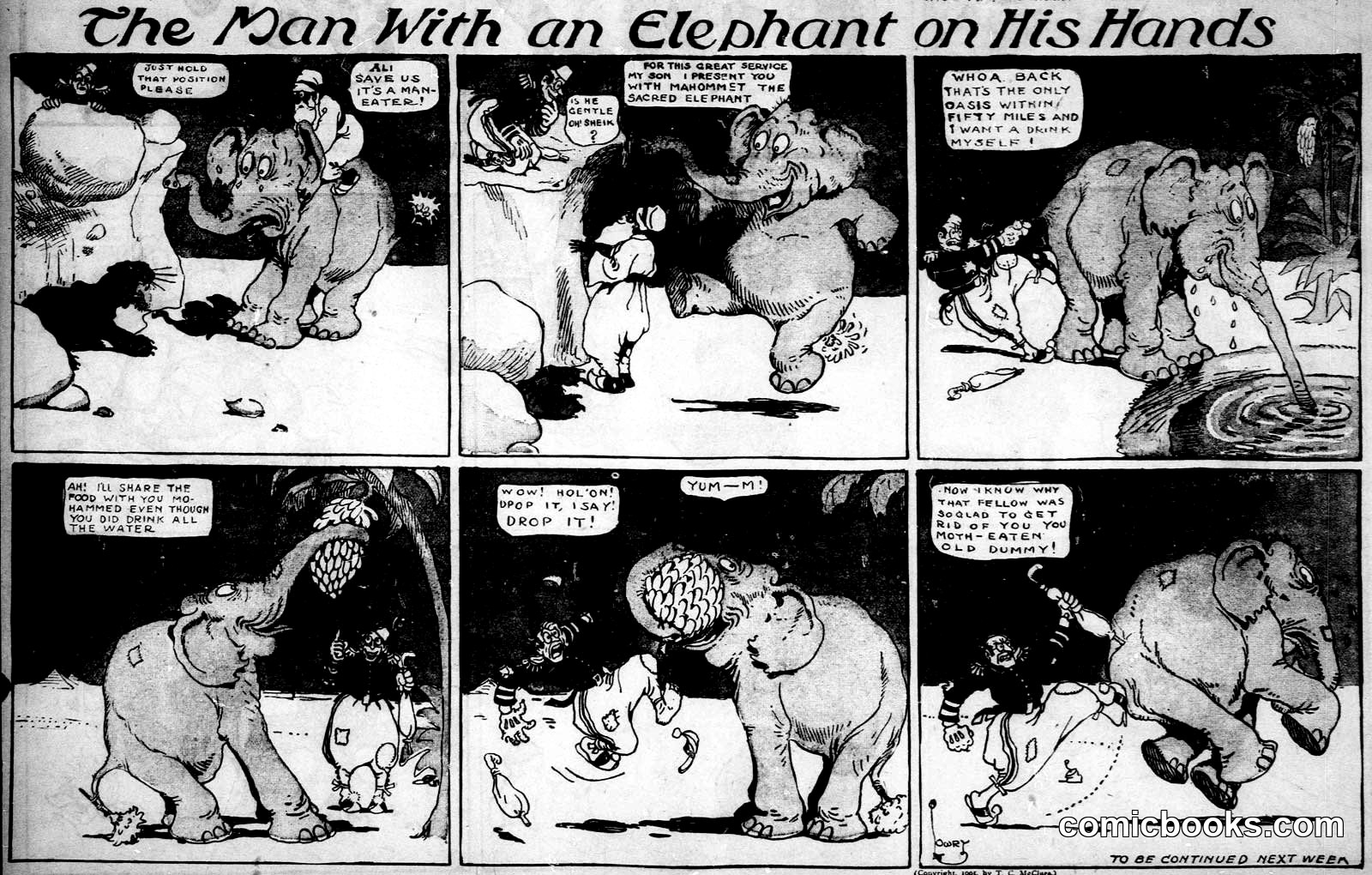 The Man With an Elephant on His Hands