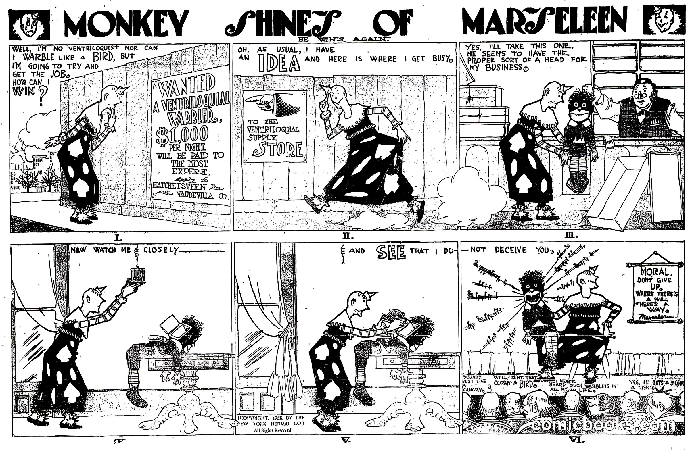 Monkey Shines of Marseleen