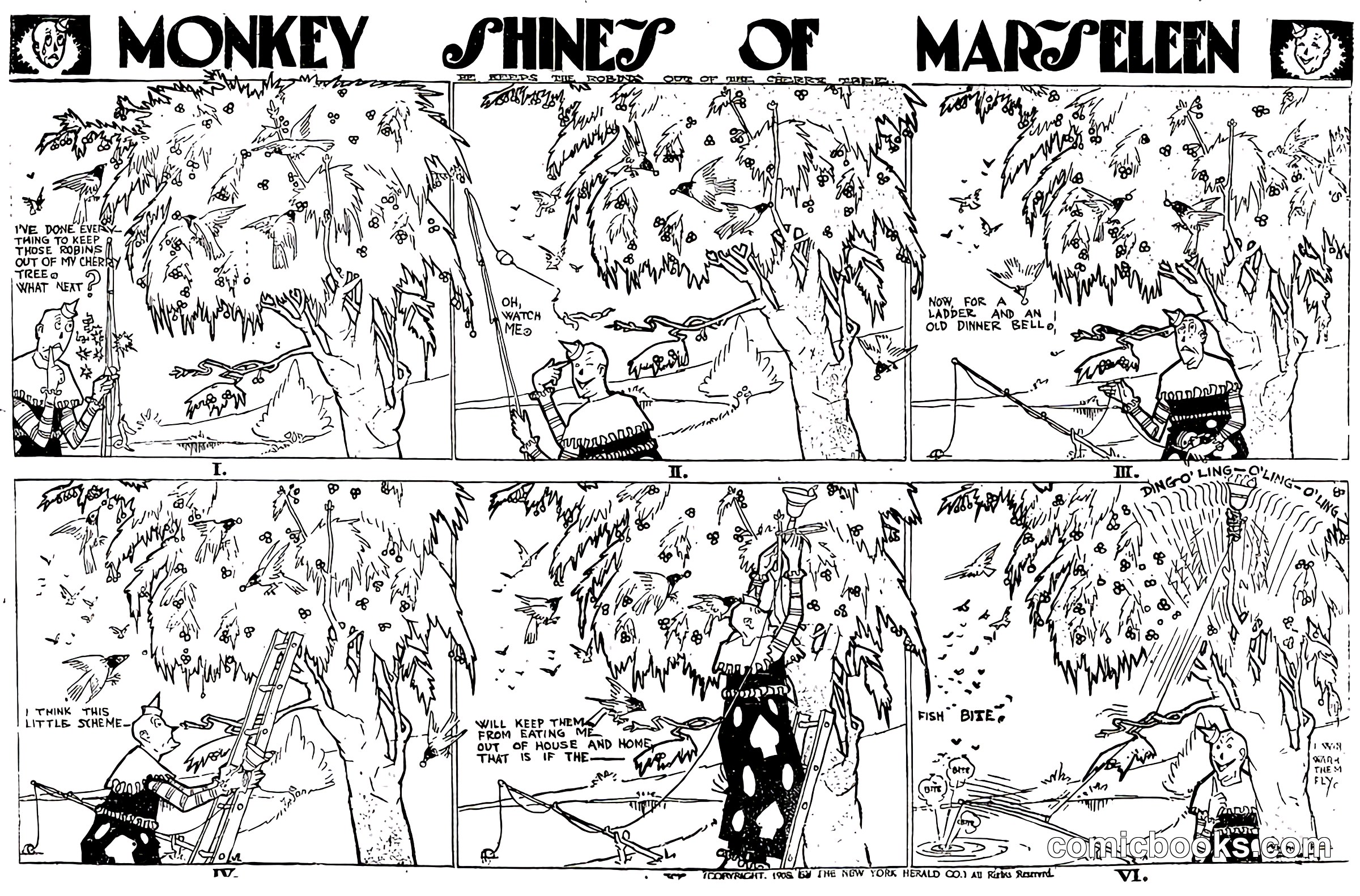 Monkey Shines of Marseleen