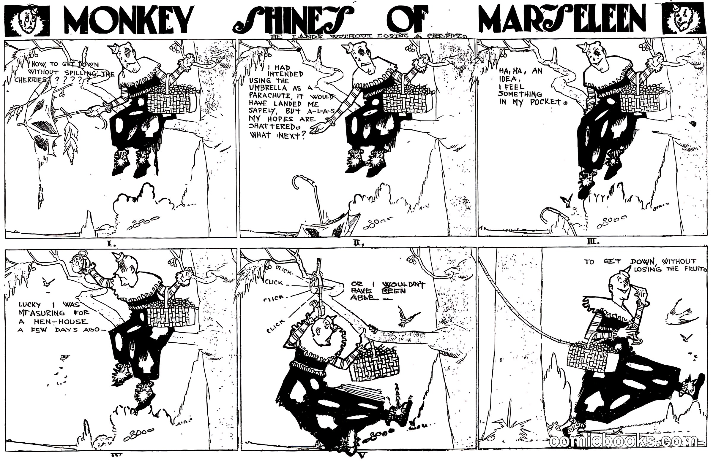Monkey Shines of Marseleen