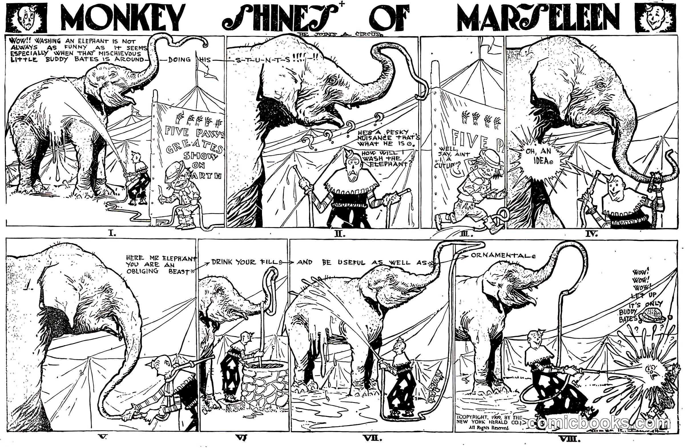 Monkey Shines of Marseleen