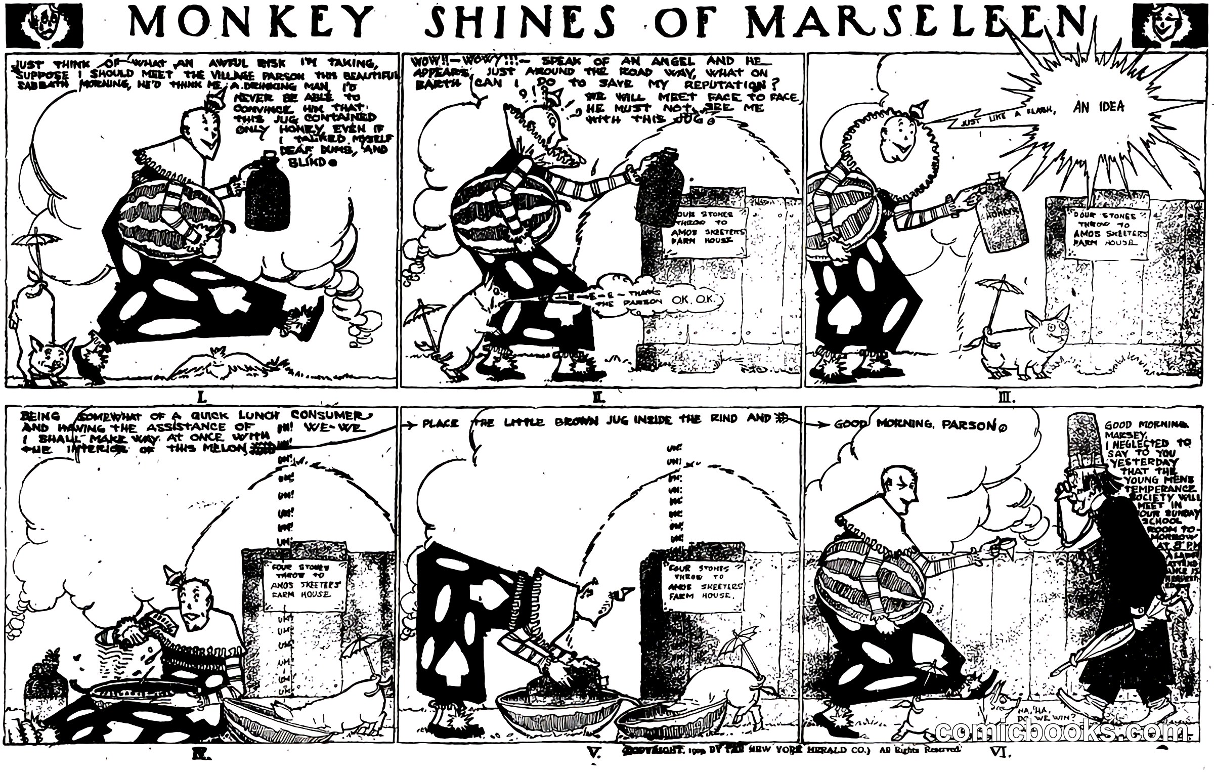Monkey Shines of Marseleen