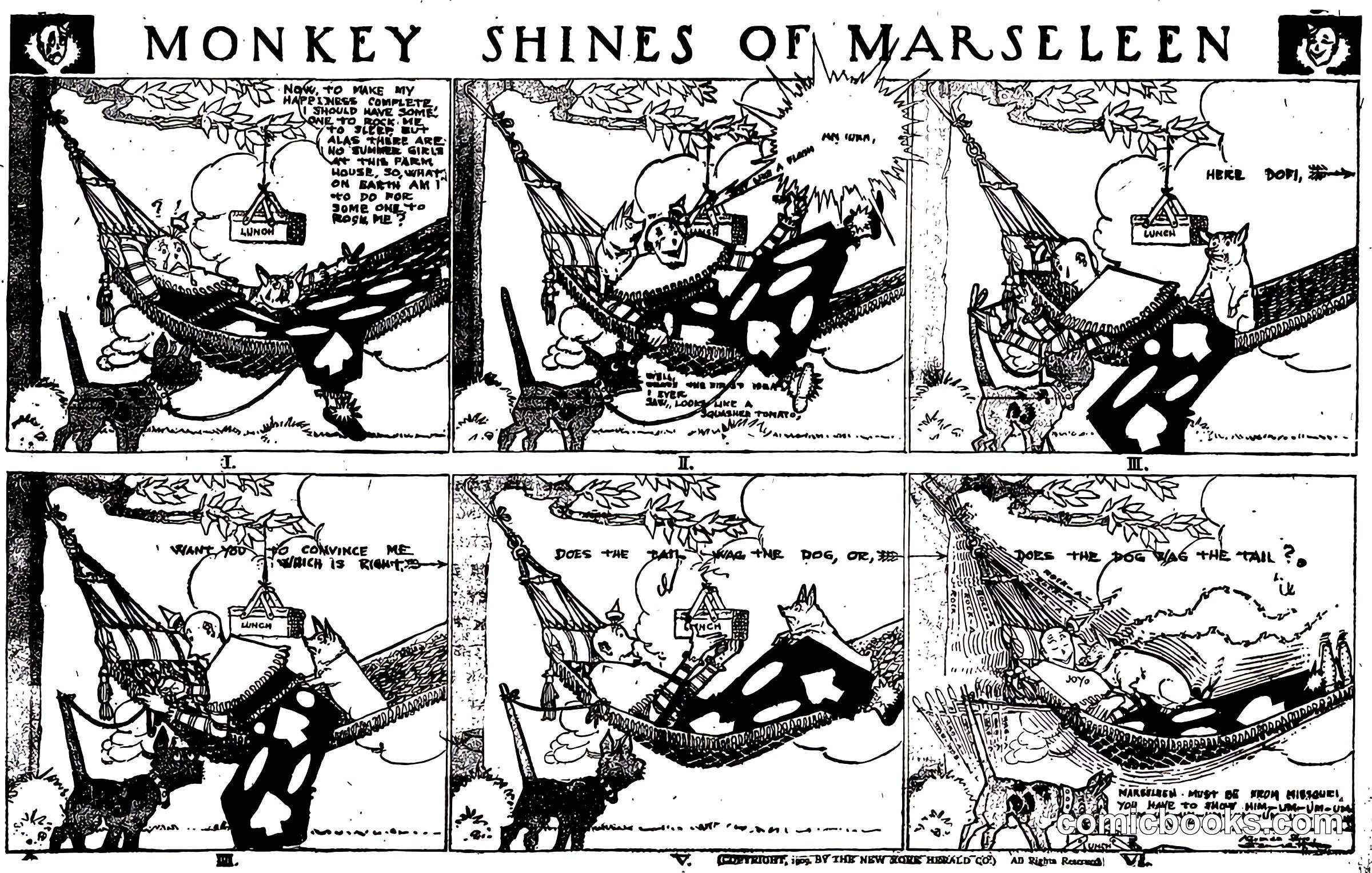 Monkey Shines of Marseleen