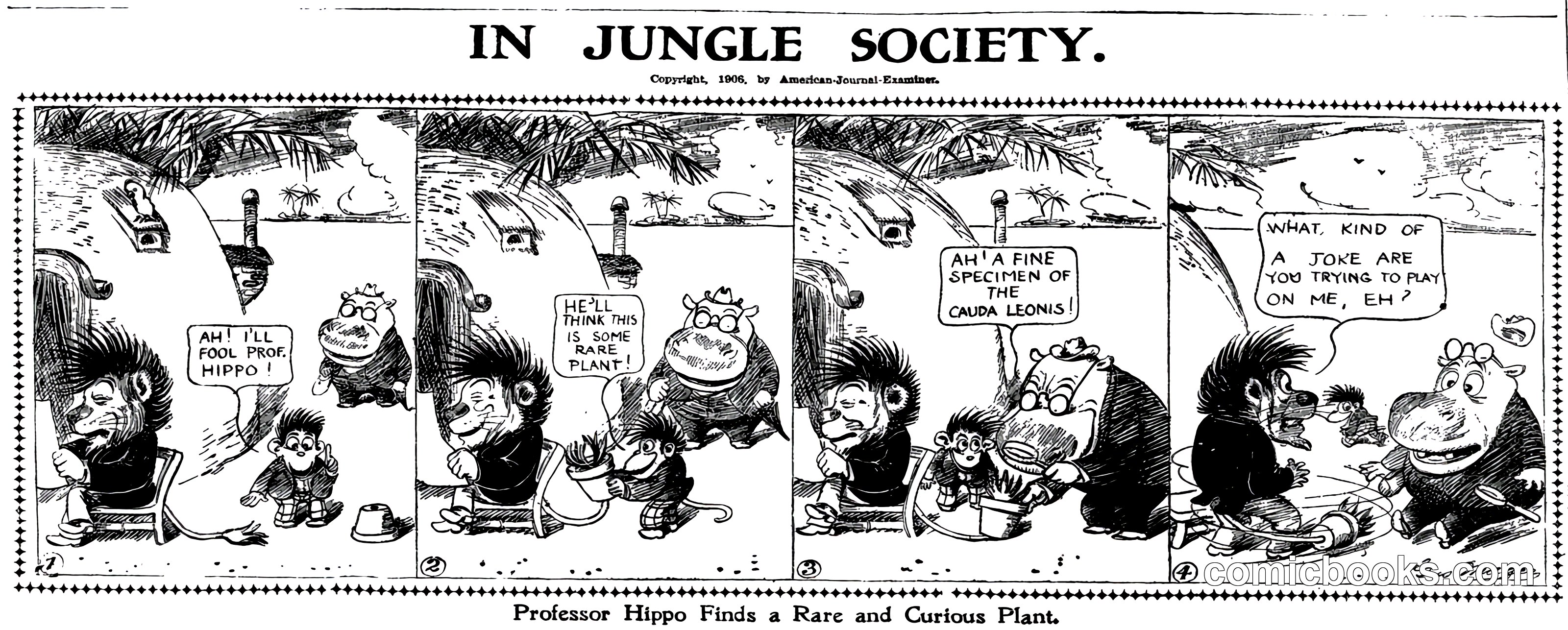 In Jungle Society
