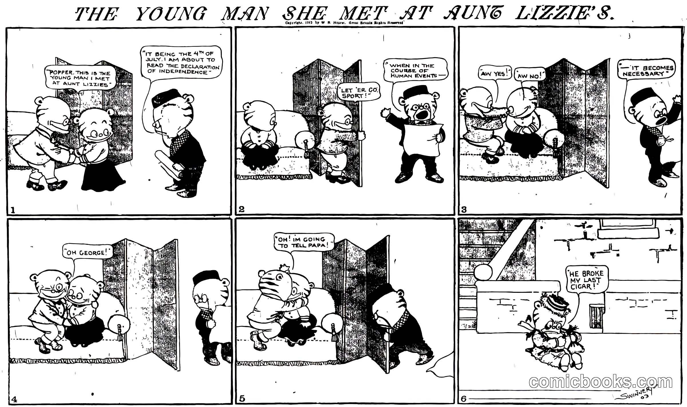 The Young Man She Met at Aunt Lizzie's
