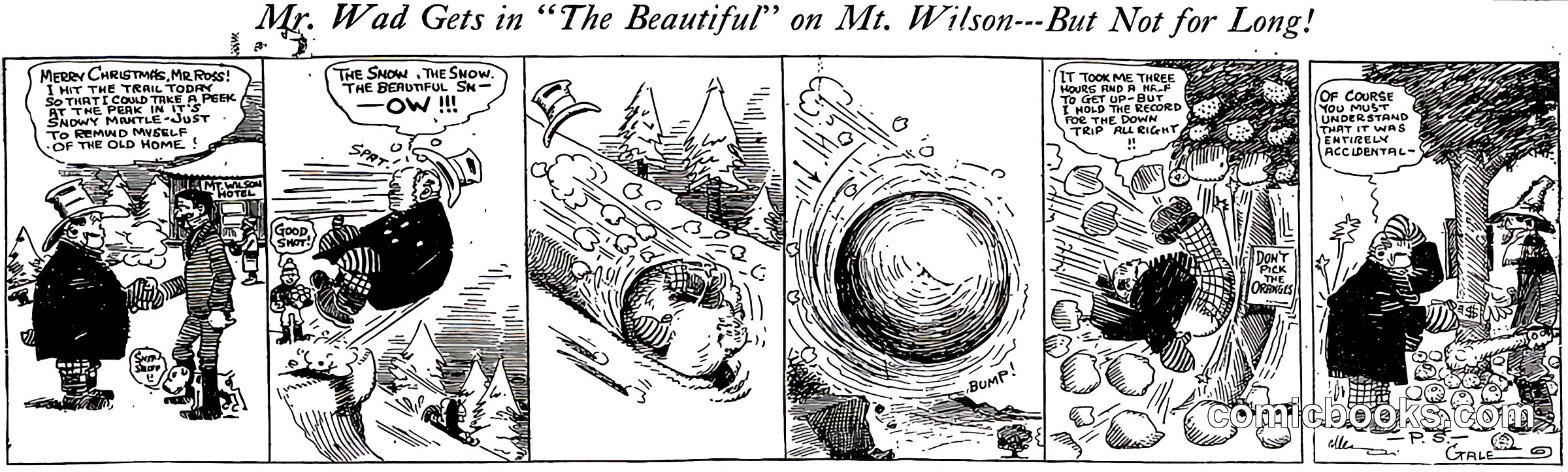 Mr. Wad Gets in 'The Beautiful' on Mt. Wilson