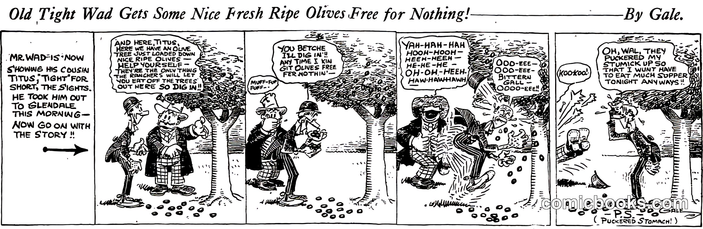 Old Tight Wad Gets Some Nice Fresh Ripe Olives Free for Nothing!