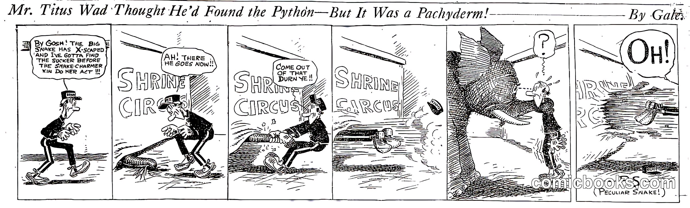 Mr. Titus Wad Thought He'd Found the Python—But It Was a Pachyderm!