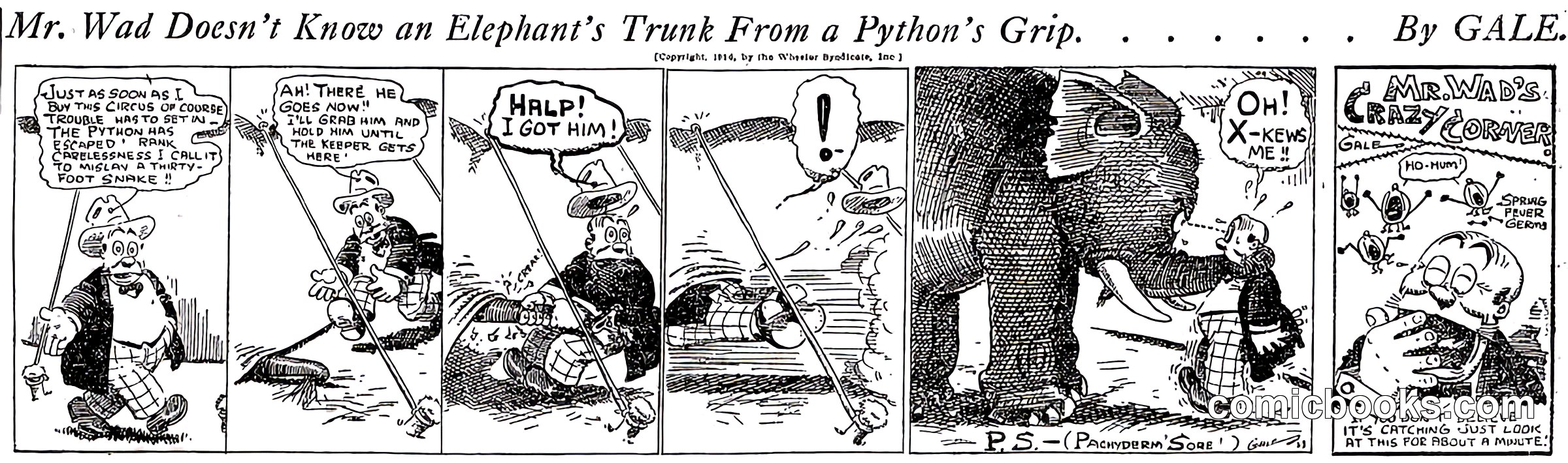 Mr. Wad Doesn't Know an Elephant's Trunk From a Python's Grip