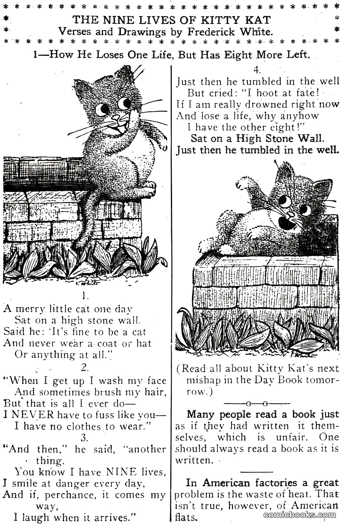 The Nine Lives of Kitty Kat