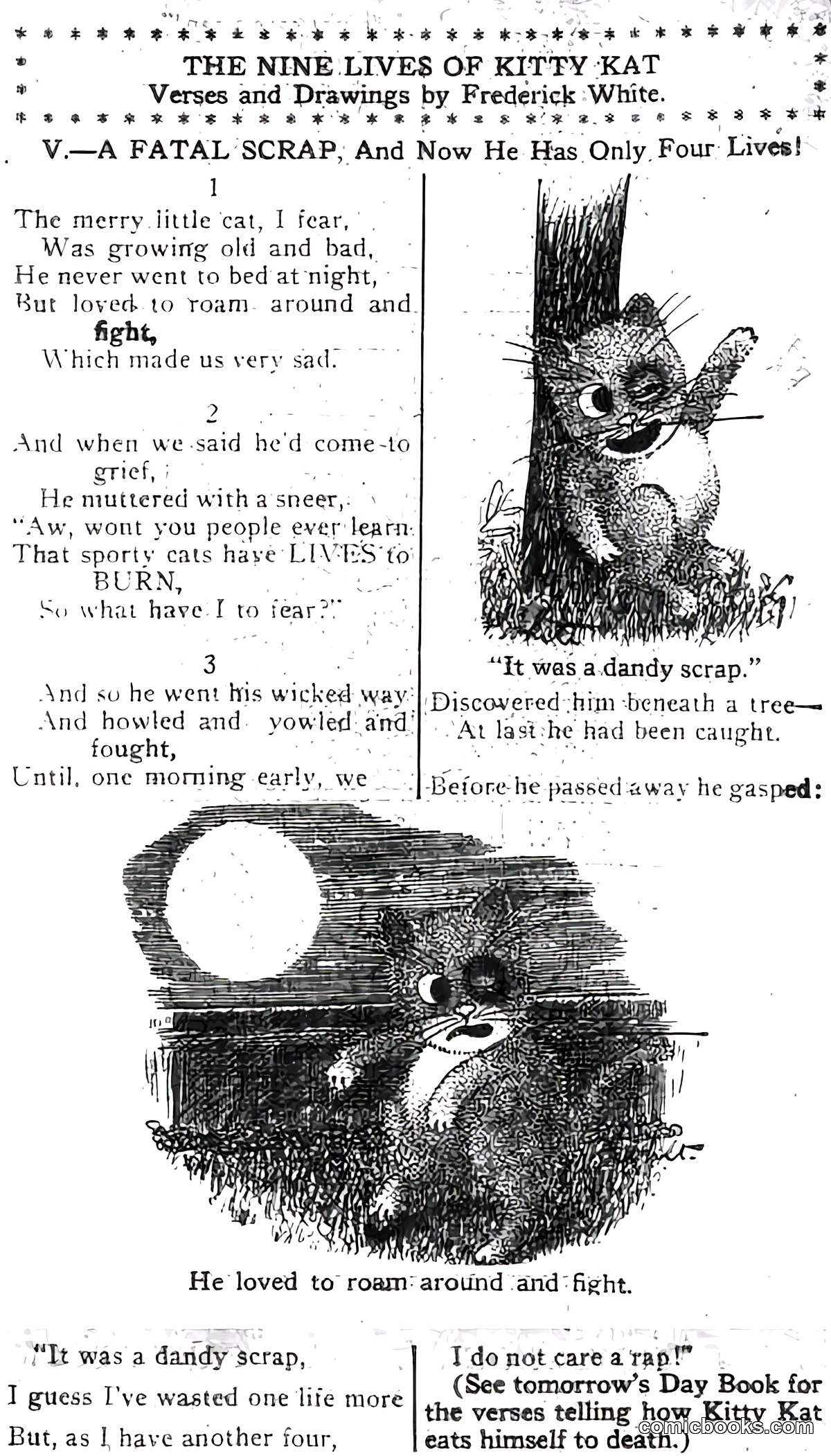 The Nine Lives of Kitty Kat