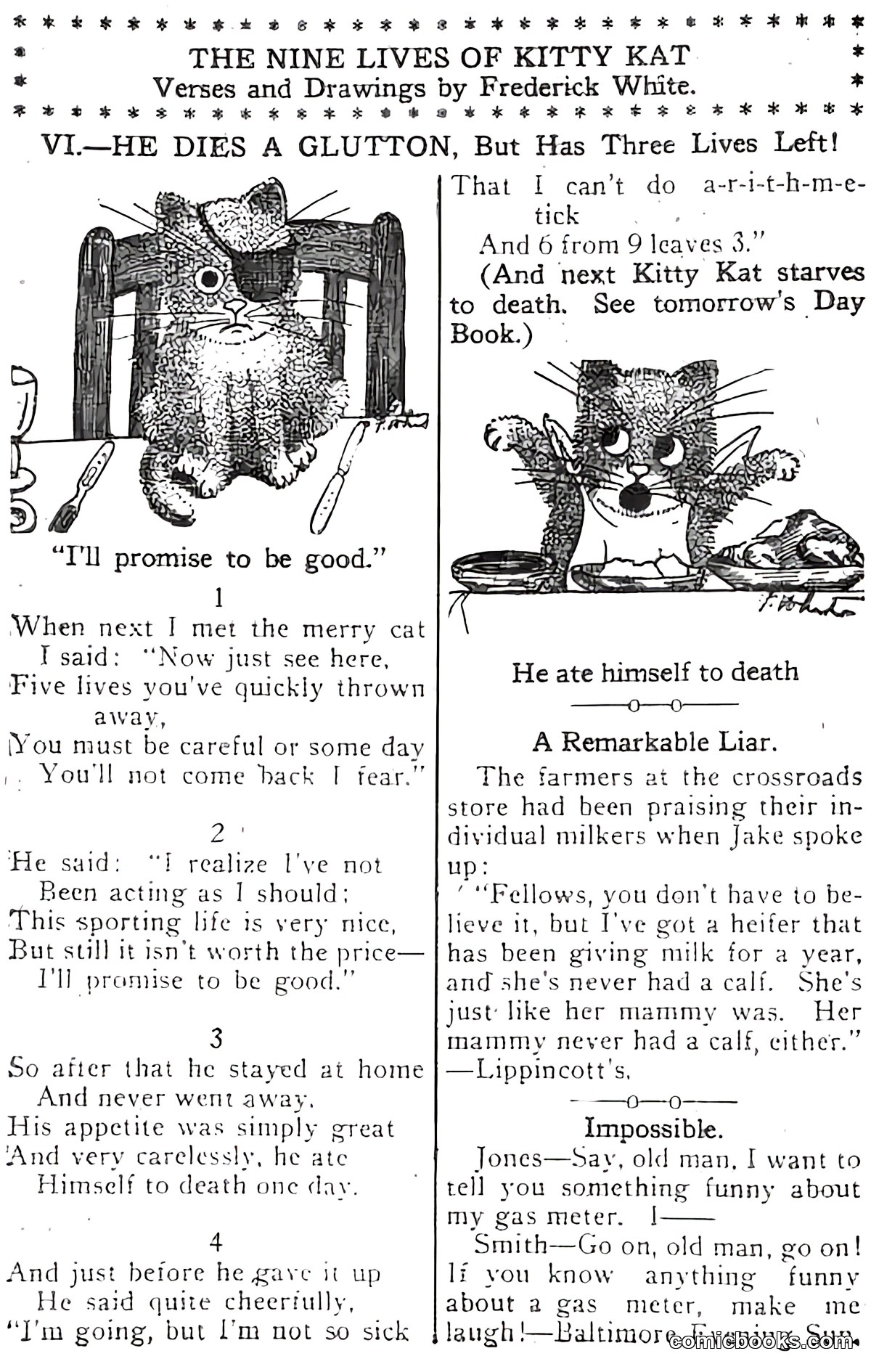 The Nine Lives of Kitty Kat