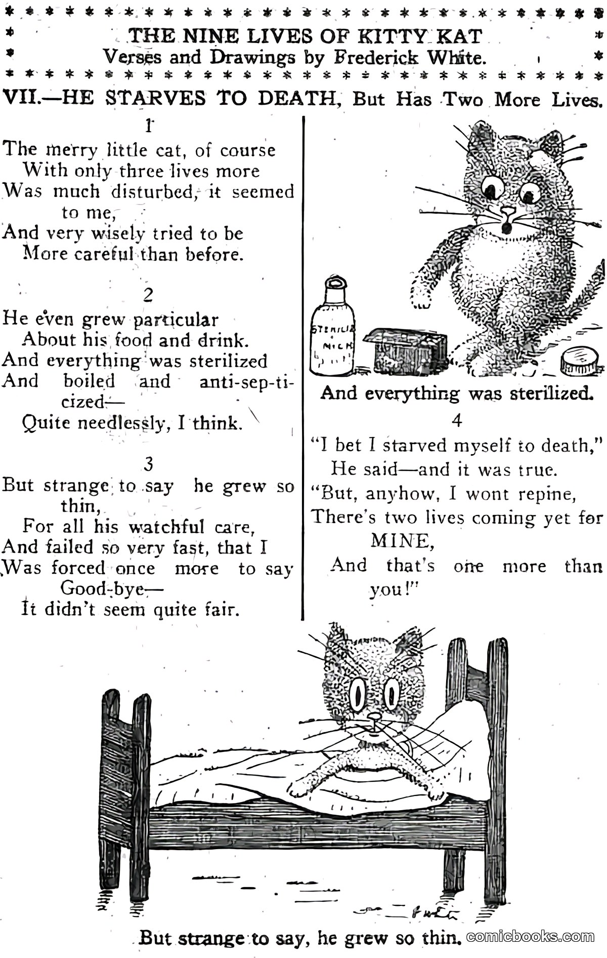 The Nine Lives of Kitty Kat