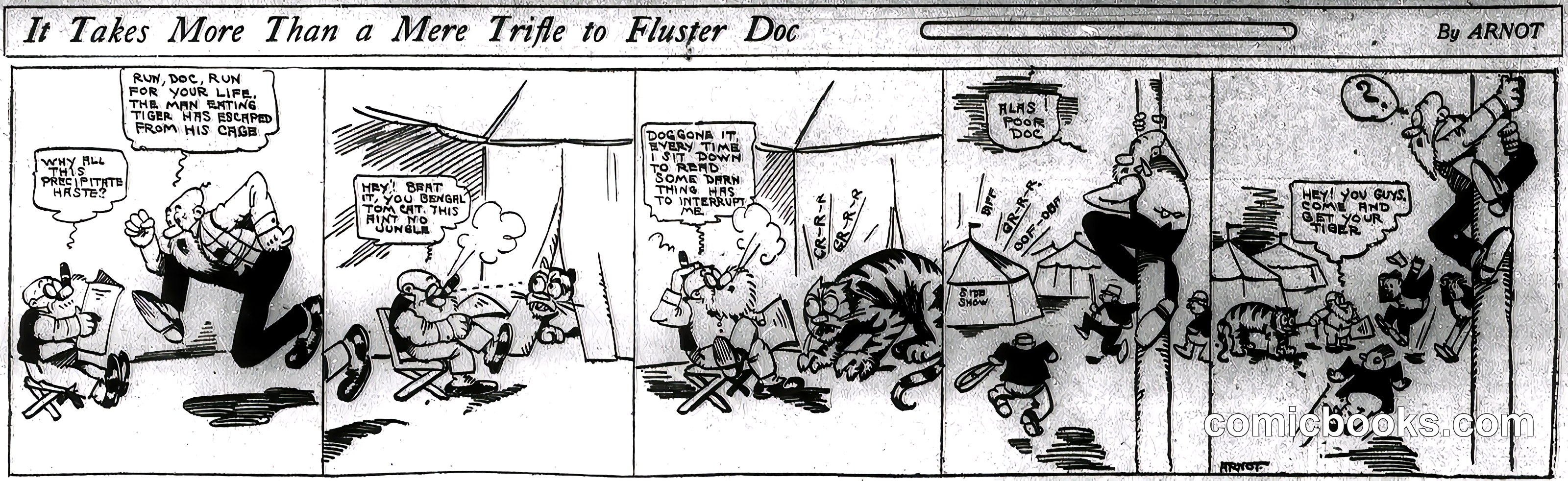 It Takes More Than a Mere Trifle to Fluster Doc
