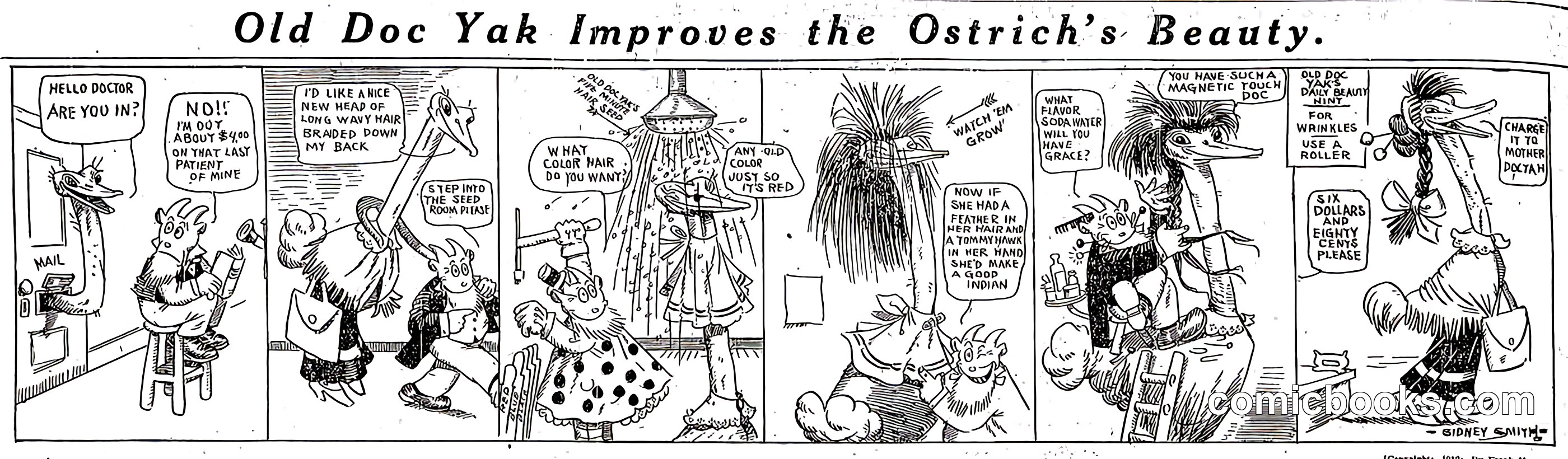 Old Doc Yak Improves the Ostrich's Beauty