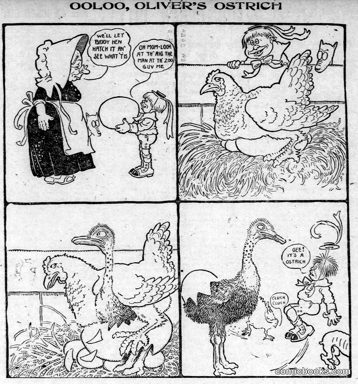 Ooloo, Oliver's Ostrich