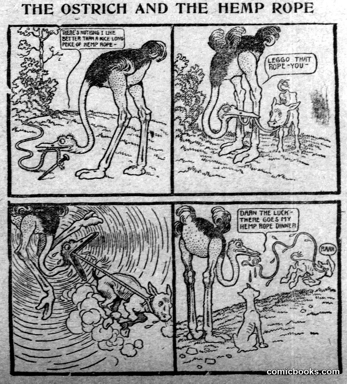 The Ostrich and the Hemp Rope