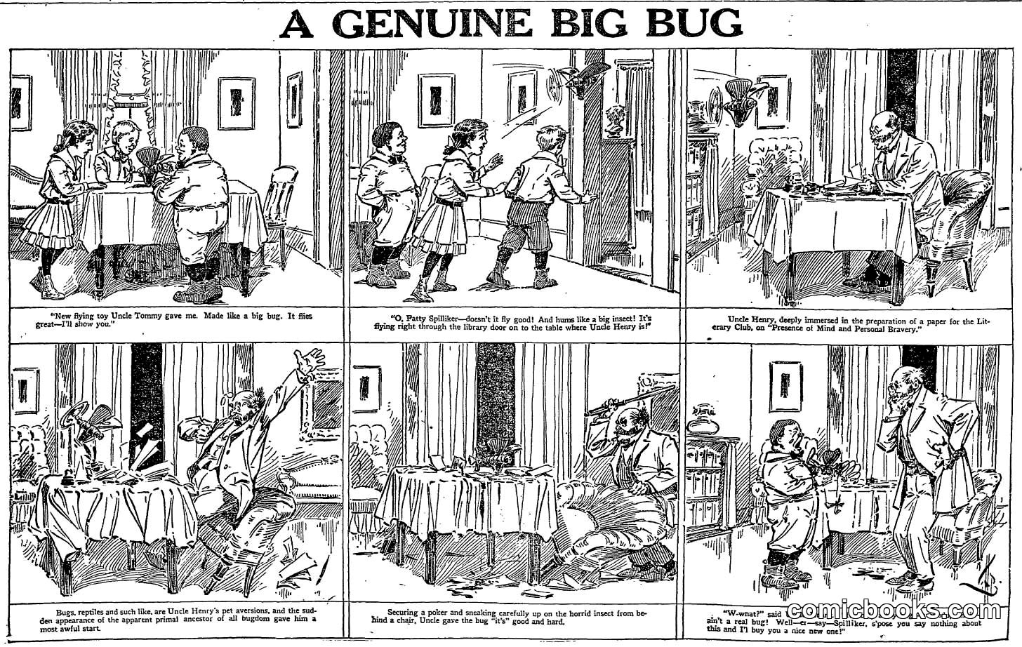 A Genuine Big Bug