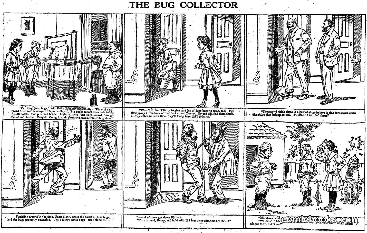 The Bug Collector
