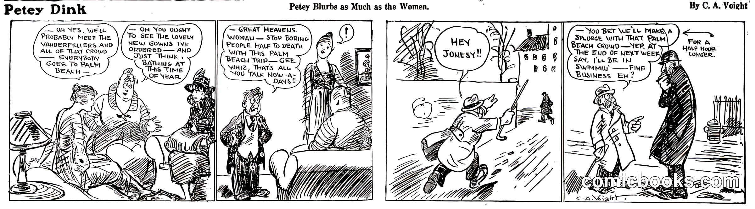 Petey Dink by C.A. Voight