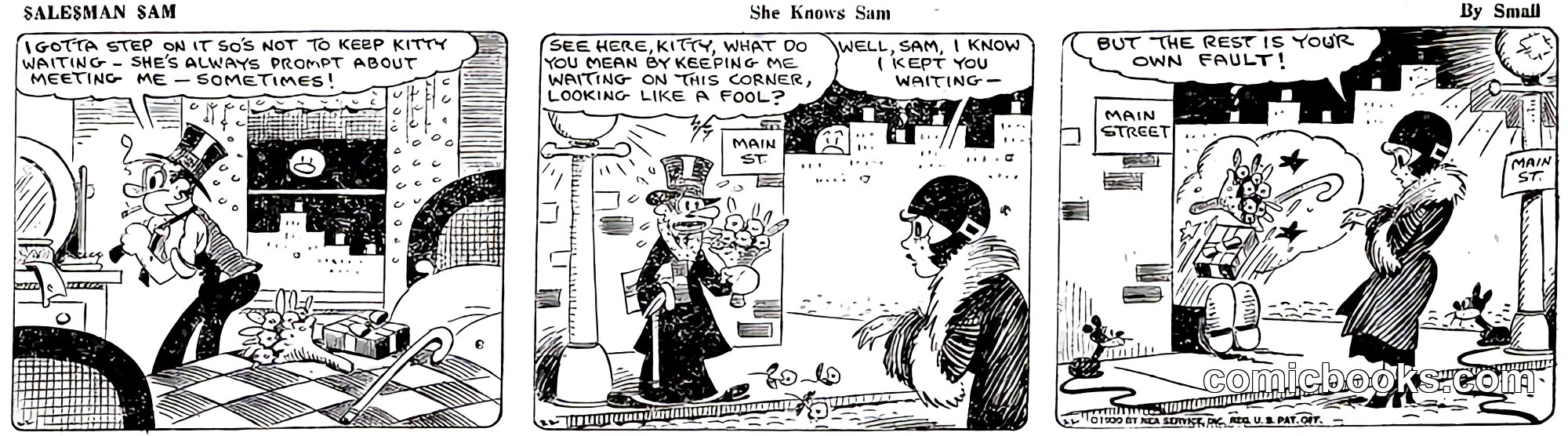 Salesman Sam