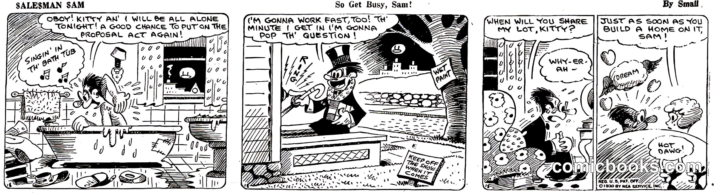 Salesman Sam