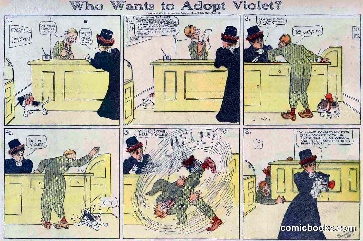 Who Wants to Adopt Violet?